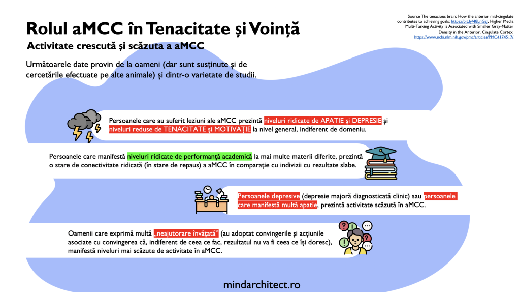 slide miscare pentru viata 2